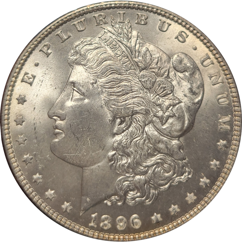 1896-$1-Morgan-Dollar-#7